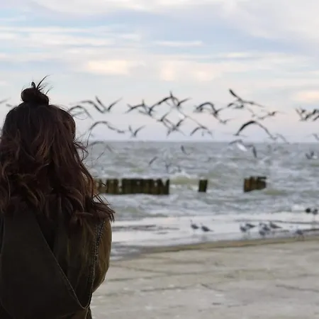 White Pearl 2.01 Apartment