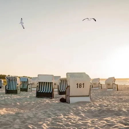 Apartment White Pearl 2.01 *