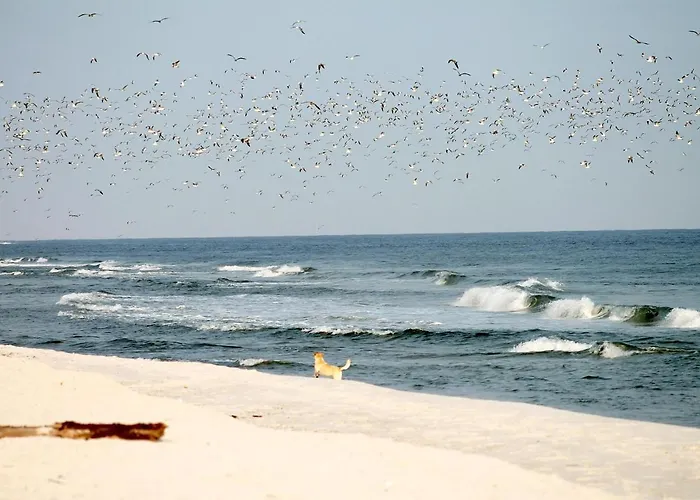 White Pearl 2.01 Apartment *