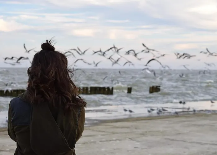 White Pearl 2.01 Apartment