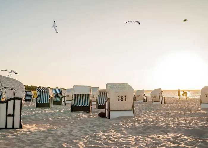 Apartment White Pearl 2.01 *